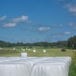 Hösilage