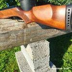 Gamo 1250 luftgevär
