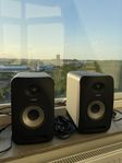 Tannoy Reveal 502 Studiomonitor, Par