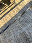 Tensei av blue 55 - stiff (Driver)