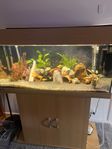 Akvarium 180L