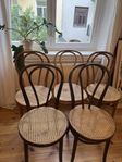 Thonet/Öglan liknande stolar rottingsist