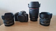 Canon R50, Canon RF 24-105 F4, RF50, RF16