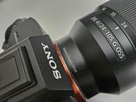 Sony FE 24-105 f4 - superskick inkl UV.