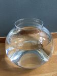 Glasskål/litet akvarium ca 5 liter