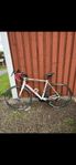Giant defy