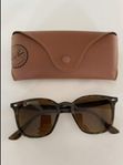 Ray Ban 4258 710/73 (nya)