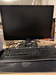 Datorskärm Philips och Tangentbord Microsoft