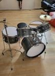 Pearl Roadshow Jr. trumset