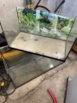 Akvarium 