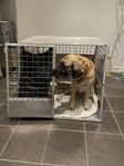 alu-flex hundbur 