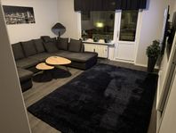 IKEA Vollerslev matta, mörkblå 200x300cm