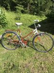 Damcykel Record 70 tal?