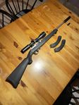 Ruger 10/22 22lr