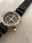 Citizen Promaster