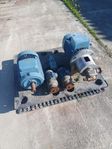 2st större ASEA El.motor