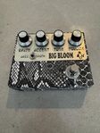 Amplified Nation Big Bloom Overdrive
