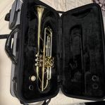 Trumpet Jupiter