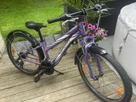 Specialized 24 Tum 21 växlar 