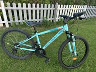 Rockrider MTB 24 tum 3x8 växlar finns i Hagfors