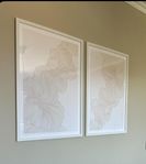 Tavlor 2 st.  70x50