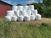 Hösilage