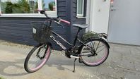 Cresent Saga 20"