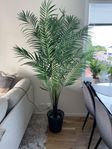 Palm konstvöxt i kruka