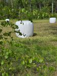 Hösilage 2025
