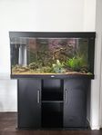 Juwel Rio 240. Akvarium + Bänk, komplett