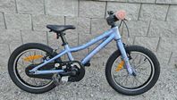 Scott Contessa 16