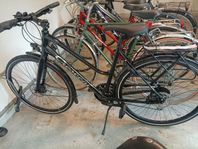 Crescent Holma 18 vxl
