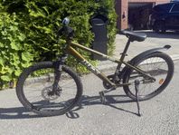 REX Juniorcykel MTB Jr 22” MTB - 5 vxl (inkl fotbroms)