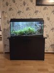 Akvarium 