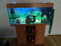 Akvarium från Juwel 200 Liter allt ingår