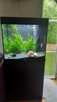 Juwel 120 l