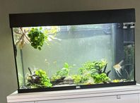 Akvarium Juwel Rio 125 liter LED svart