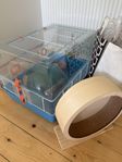 Hamsterbur med div tillbehör