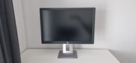 Dataskärm HP EliteDisplay E242