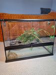 Exo Terra, Terrarium