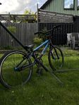 Race BMX 