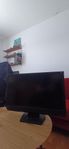 Eizo Foris FS2331