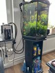 akvarium säljes