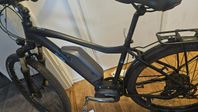 Ecoride Ambassador