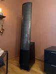 Martin Logan ESL X