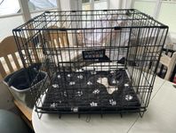 Hopfällbar hundbur