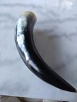 Dryckes horn