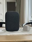 Google Home (Nest Audio), Grå
