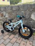 Scott Contessa 16 tum / Som ny