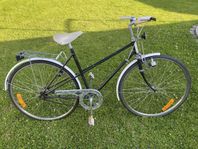 Rex damcyklar